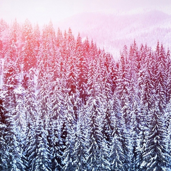 Meet your Posher, Posh - Picture 2 of 2